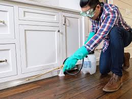 Best Real Estate Pest Inspections  in Woodlyn, PA